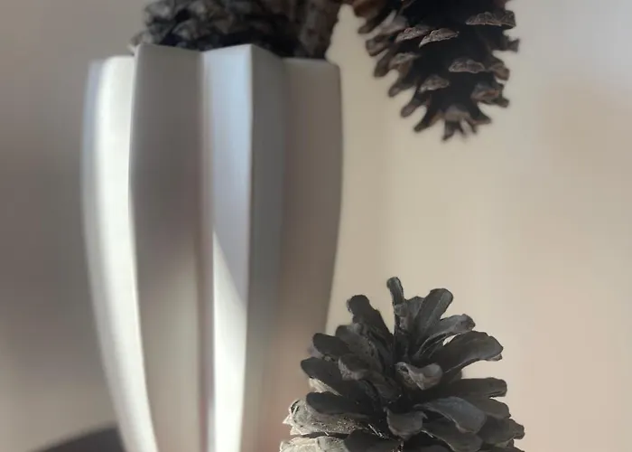 Duplex Centre Cannes