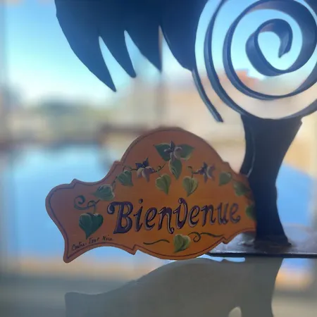 Duplex Centre Cannes